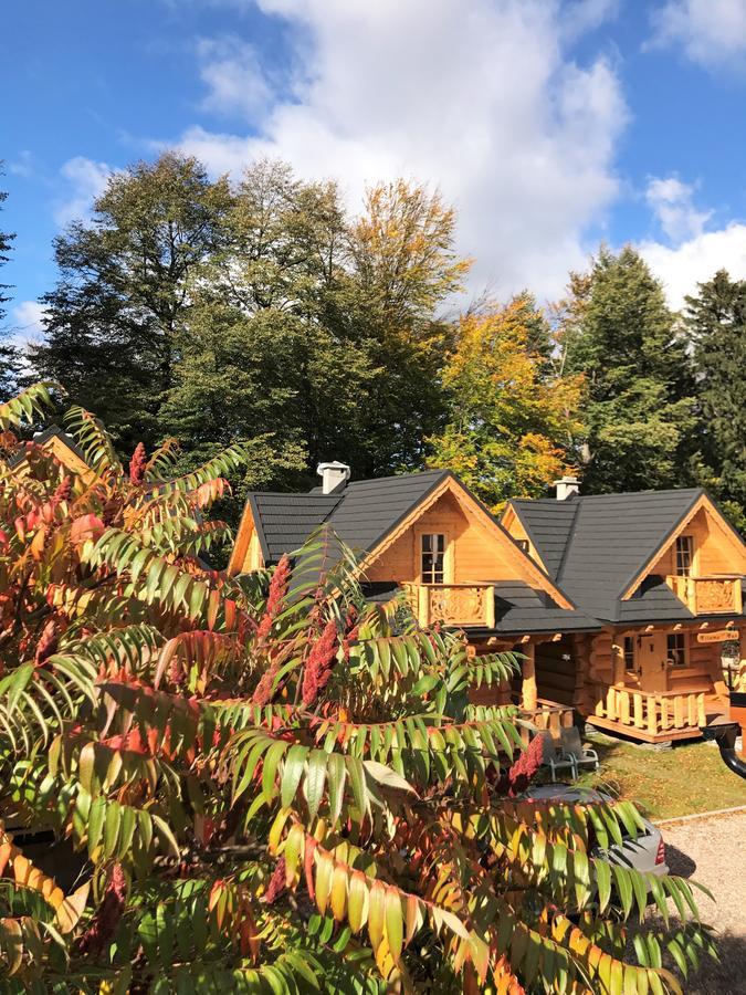 Góralska Osada Karpacz - Domki Lux Exterior foto